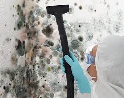 Best Air Quality Testing for Mold Spores  in River Ridge, LA